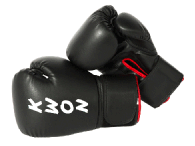 Box rukavice Kwon Training 10,12,14,16OZ