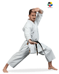 Daedo Kata WKF Competition Bunkai bez viviek